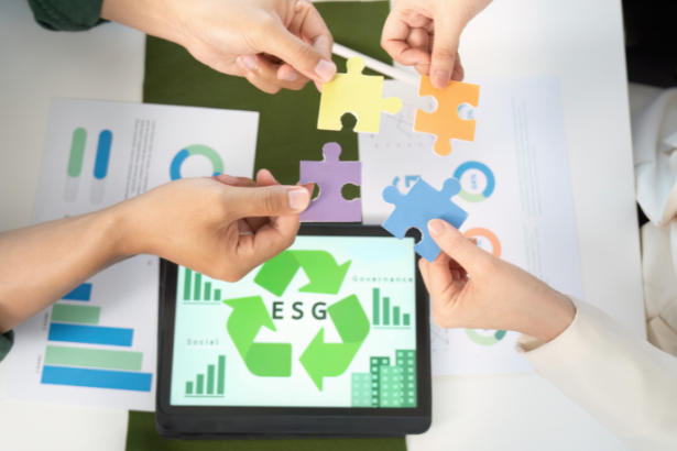 ESG e educação: entenda como empresas podem gerar impacto real e mensurável nas escolas, com a análise de Sérgio Bento De Araújo sobre estratégias eficazes e indicadores de resultado.